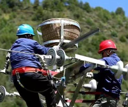 青海聯(lián)網(wǎng)——鳥(niǎo)兒們的人工鳥(niǎo)巢